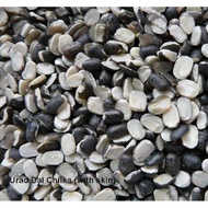 Dal Urad Chilka/Ulunthu Hitam/Lentis- 500GM/1KG
