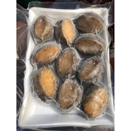 Fresh frozen Abalone in shell 500g
