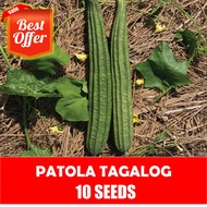 Patola Tagalog Seeds - Vegetable Seeds