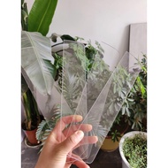 [in stock] Acrylic Tiramisu Mold Divider Plate Partition Box Divider Plastic Separator Partition Div