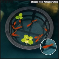 DUILIMY Aquarium Filters, Large Capacity Mesh Fish Fry Cage,  Reusable Fish Fry Isolation Box For Se