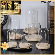 CEDAR Glass cloche Home Decor Plants Glass Vase Terrarium Transparent Bottle Flower Storage box