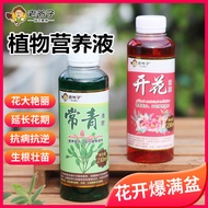 Old Man Plant Nutrition Liquid Household Liquid Fertilizer Potted Flower Plant Flower Viewing Foliag
