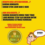 Bunga Anggrek Bulan / Buket Bunga Anggrek / Rangkaian Bunga Anggrek