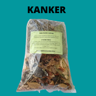 Jamu Godok Kanker/Tumor/Kista/ kista