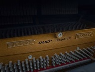WESBERG Duo+ 立式鋼琴（二手）
