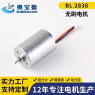 Motor Brushless Hair Dryer Micro bl2838 A4OF