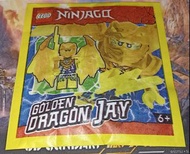 LEGO 樂高 Sets NINJAGO Crystalized 892302 892297 892294 892296 71771 71772 停產絕版retired