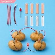 ZHOMKI89 Fruit Battery Science Experiment Kit, Potato Powered STEM Experiment Kit Electricity Experi