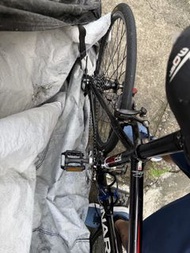 Pinarello FP Zero 24兒童公路單車