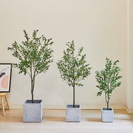 Olive Tree Artificial Plant