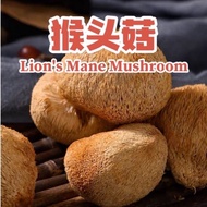 新年猴头菇｜无硫磺长白山猴头菇｜无硫猴头菇｜新年素食猴头菇｜Lion Mane’s Mushroom｜Mushroom | 无硫磺纯天然 特级猴头菇 素肉 Vegetarian Meat 100g