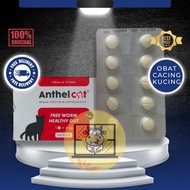 ECER ANTHEL CAT 1 Tablet (Blister) Obat Cacing Spektrum Luas Untuk KUCING by Kalbe | Harga 1 Tablet