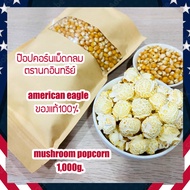 (Mushroom popcorn 100%) ข้าวโพดเม็ดกลม เมล็ดข้าวโพดป๊อปคอร์น เมล็ดป๊อปคอร์นมัชรูม ป๊อปคอร์นมัชรูม mushroom popcorn 1,000 กรัม