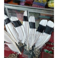 Bird Feather/Kalimantan Dayak Accessories