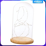 [Etekaxa] Battery Operated LED Bedside Table Lamp with Warm Fairy Lights Glass Cloche with Wooden Base