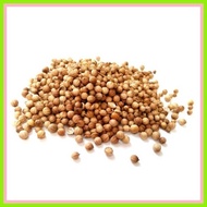 ✿ ♚ ▬    1KG India Coriander Seeds| Kulantro | Colantro