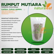 RUMPUT MUTIARA 100 Kapsul Curah Herbal Sumbatan Saluran Sperma Kanker