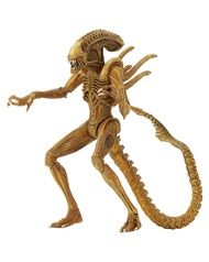 Aliens Neca Sewer Mutation Warrior Alien (SDCC 2017 Exclusive)