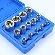 14-Piece Female E-Torx Socket Set, E4-E24 External Star Sockets, 1/4" 3/8" 1/2" Drive, High-Strength