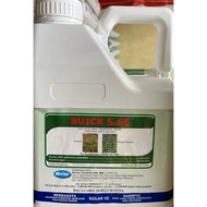 * ORIGINAL * Hextar Buick 5.66 4L / racun rumput / rumput kerbau & rumput pait / glufosinate-ammoniu