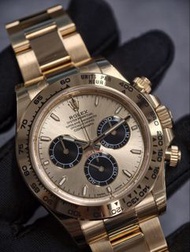 🆕 Rolex 勞力士 126508-0006 YML 余文樂