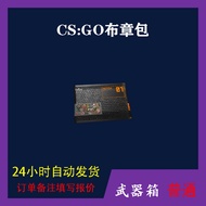 CSGO Skin CS: GO Patch Bag Agent Printing Sticker Jewelry Clearing Stock Automatic Delivery