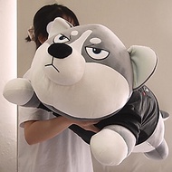 Thú nhồi bông chó Husky mặt ngáo - Size 80cm đến 1m5 - Gấu bông chó husky siêu to khổng lồ - Gối ôm 