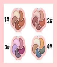 eyeshadow 5 warna / USHAS eyeshadow #4163-4