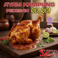 AYAM KAMPUNG PEDESAN RICA RICA frozen khas cirebon pedes gurih mantap jeh..