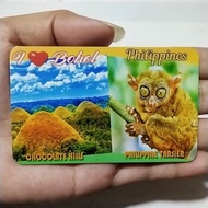 Bohol Tarsier Rubber Ref Magnet
