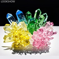 LOOKSHOW Crystal Planting DIY Scientific Experiment Set Chemical Experiment Educational Toy Handmade