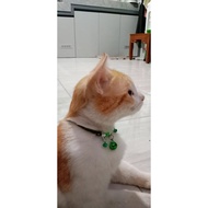 KALUNG KUCING 3 LONCENG TALI PRUSIK SUARA NYARING ALL SIZE 1PCS