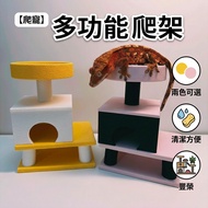 Gecko Hide House Gecko House Reptile Hide Eyelashes Gecko Hide House Fat Tail Gecko Gecko Feed Repti