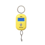 Mini Digital Scale Electronic 25Kg 5g Luggage Hook Pocket Hanging Fishing Scale LCD  Kitchen Steelya