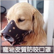 Dog Mask**