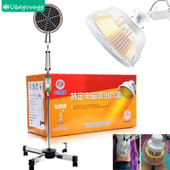 TDP Far Infrared Heat Lamp Electromagnetic Wave Therapy Instrument