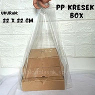 PP KRESEK BOX 22x22 cm