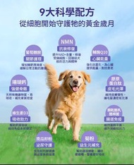 HaBibi® 狗狗NMN抗衰黃金配方 [大型犬]  寵物保健品