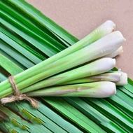 [Category I] Fresh lemongrass 1Kg