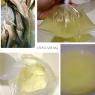 虱目魚骨高湯
