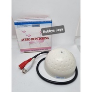 Audio Monitoring Mic CCTV Camera