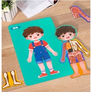 Human Body Education Puzzle/ Human Anatomy Education/ Science Education on Body for Kids