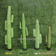 Immortal Stick Meat Factory Plant Tropical Cactus Fake Tree Mexican Cactus Artificial Direct Sale Si