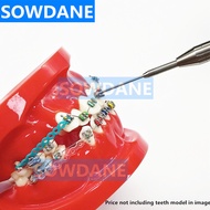 【New-store】 1pc Dynamometer Stress Tension Meter Force Gauge Elastics Measuring Therapy Tool