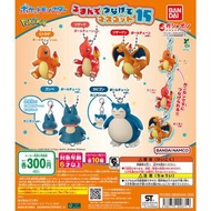 日本正版 Bandai 寵物小精靈 Pokemon 進化系列 小火龍 火恐龍 噴火龍 小卡比獸 卡比獸 扭蛋 吊飾 掛飾 掛件 公仔