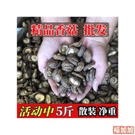 Cendawan Shiitake Kering Baru 2500g Cendawan Shiitake Kering Cendawan Musim Sejuk Ayam Rebus Cendawa