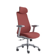 เก้าอี้เพื่อสุขภาพ เฟอร์ราเดค Melody