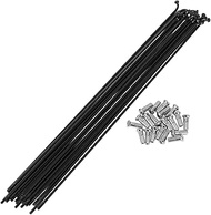 INFINAUTO Set of 20 13G Bicycle Spokes 223 mm Bicycle Spokes 304 Stainless Steel Black