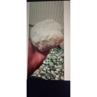 Super sticky glue 1 ounce